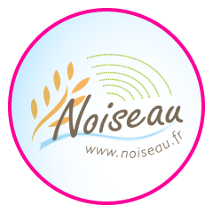la ville de Noiseau bénéficie des services d'aide à domicile d'APA-DOM